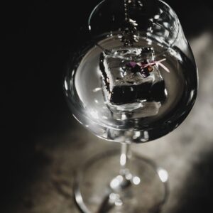 6333005 5 Aroma Copa Gin Tonic jpg