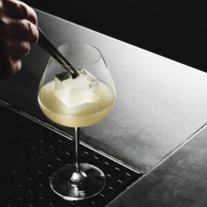 6333005 6 Aroma Copa Gin Tonic jpg