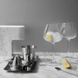 6333005 8 Aroma Copa Gin Tonic jpg