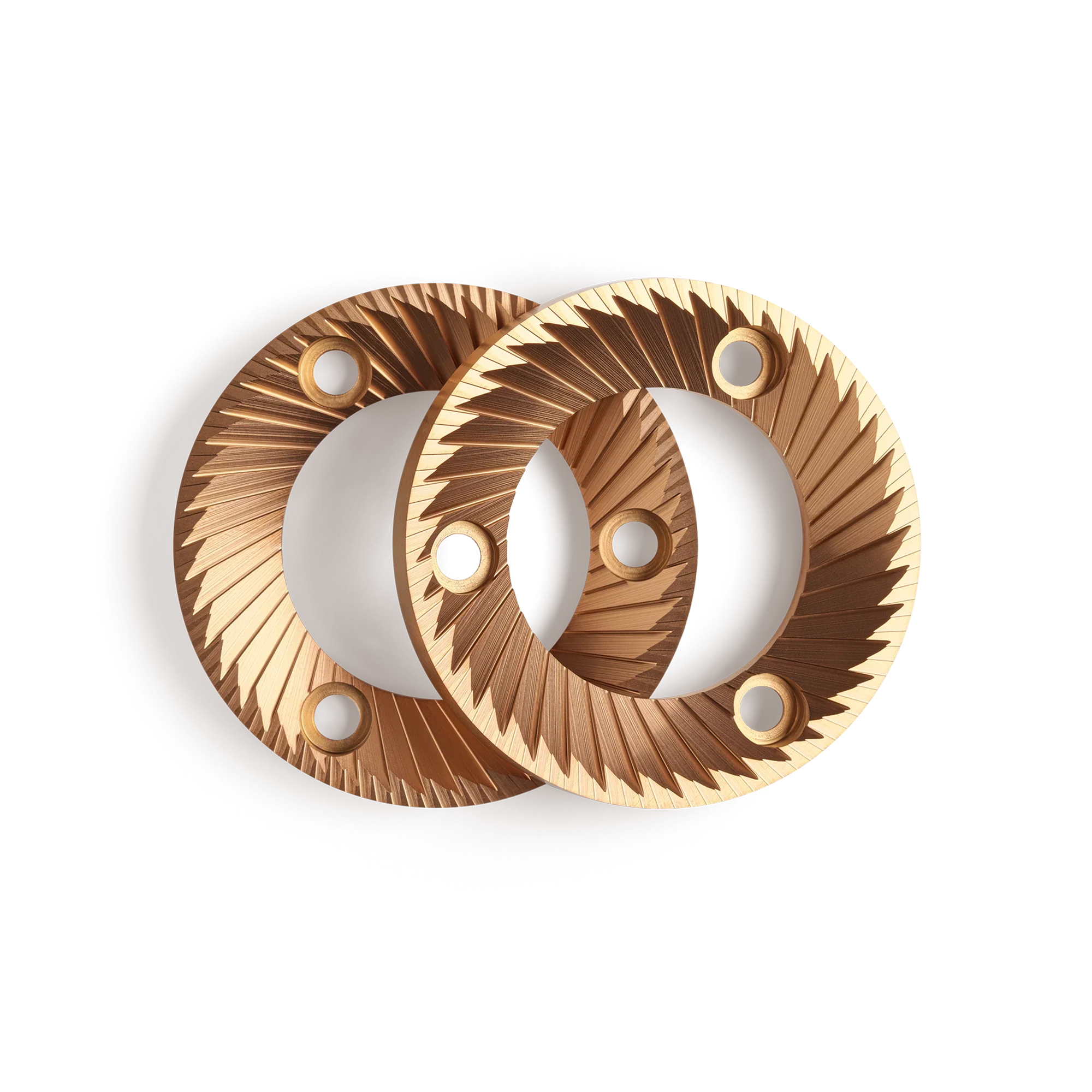 Accessory OdeBrewGrinder SSPBurrs 01 png Accessory OdeBrewGrinder SSPBurrs 01 png