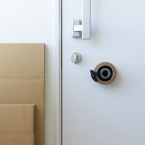 wccxlwphpphtfy9uaevp 1000x jpg