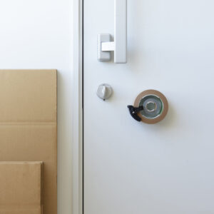 yyno090yxujzumhsskua 1000x jpg