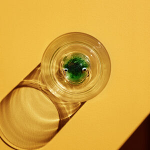 1680879916384 7091950 2 jpg