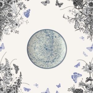 212521CO Constellation Plate Lifestyle jpg