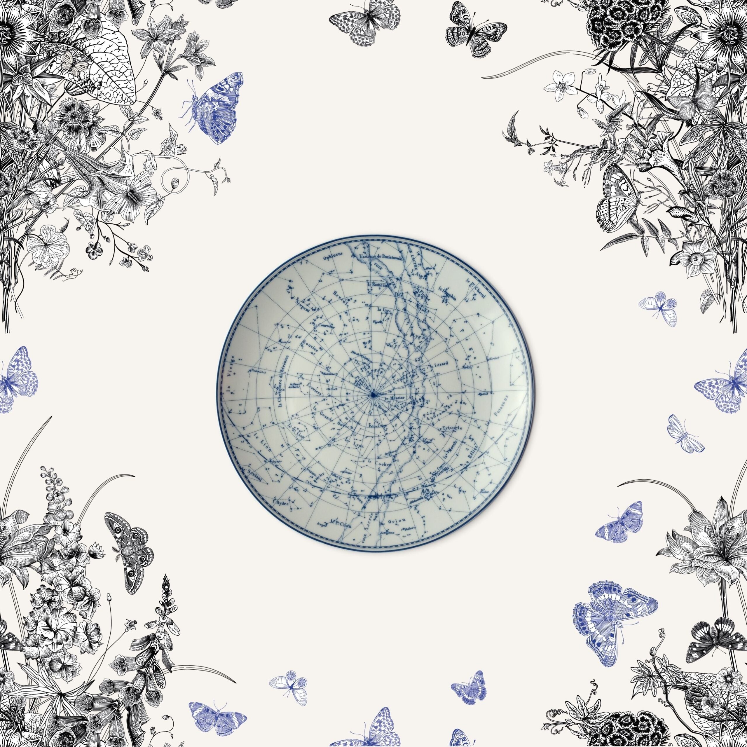 212521CO Constellation Plate Lifestyle jpg 212521CO Constellation Plate Lifestyle jpg