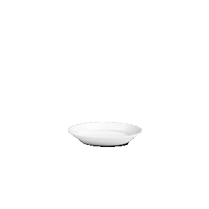 240117BL Generale Platter Underplate