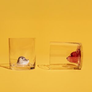 7091952 7090853 New Friends KostaBoda Ernst Billgren ENV 01 LAN 3X2 0418131c d2bc 4a3a 9f27 e336df4e89d0 jpg